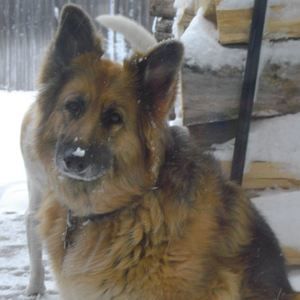 Meet your Posher, Tiffany